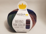 Regia/Merino Yak Color/08505 Terrain Gradient Color