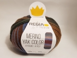 Regia/Merino Yak Color/08506 Mountain Gradient Color